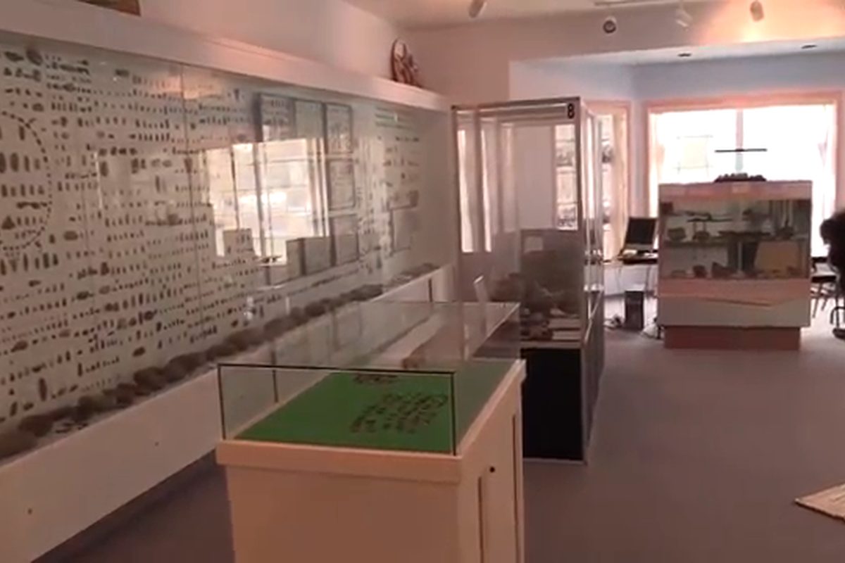 Collections du Musée Notukeu
